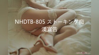 NHDTB-805 ストーキング痴漢宣告