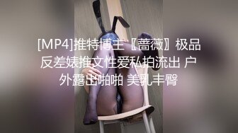 [MP4]推特博主〖蔷薇〗极品反差婊推文性爱私拍流出 户外露出啪啪 美乳丰臀