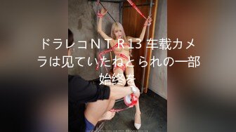 ドラレコＮＴＲ13 车载カメラは见ていたねとられの一部始终を