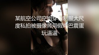 某航空公司空姐穿着制服大尺度私拍被摄像师用假鸡巴震蛋玩逼逼