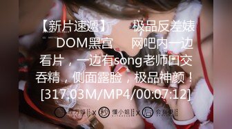 【新片速遞】 ❤️极品反差婊❤️DOM黑宫❤️网吧内一边看片，一边有song老师口交吞精，侧面露脸，极品神颜！[317.03M/MP4/00:07:12]