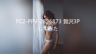 FC2-PPV-2896873 贅沢3Pしてみた